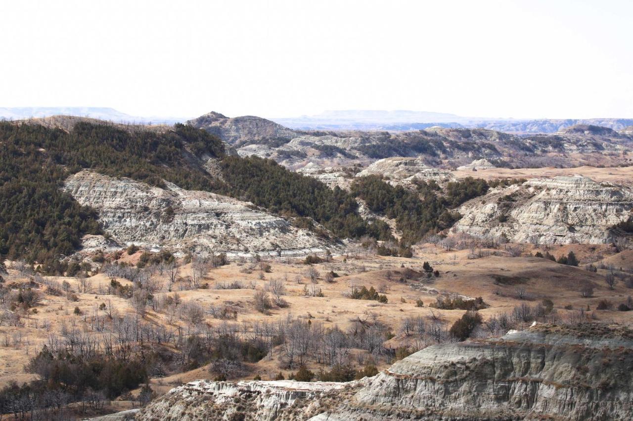 Badlands Suite Less Than 1 Mi To Teddy Roosevelt Park! Medora Extérieur photo