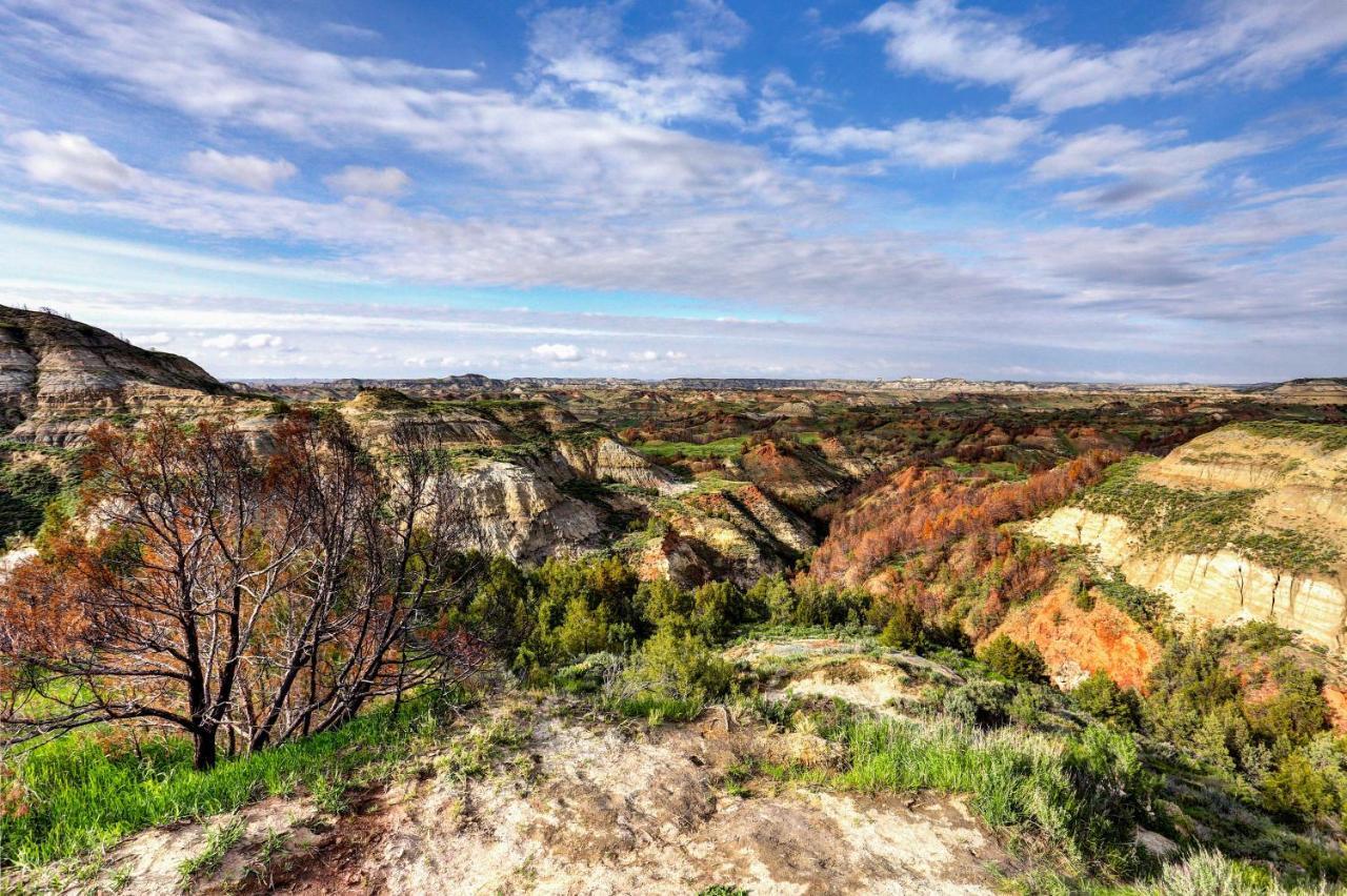 Badlands Suite Less Than 1 Mi To Teddy Roosevelt Park! Medora Extérieur photo
